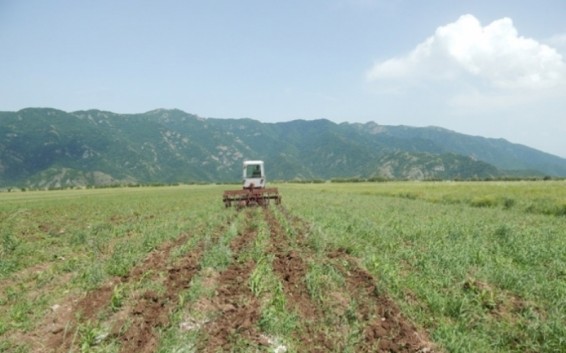 5226 նոր աշխատատեղ հողօգտագործողներին