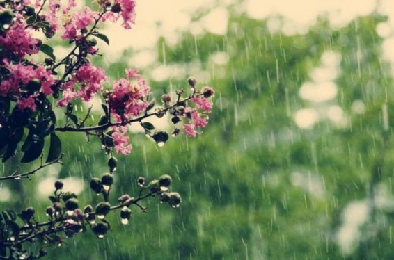 Հունիսի 13-18-ը` կեսօրից հետո, շրջանների զգալի մասում սպասվում է կարճատև անձրև և ամպրոպ. ջերմաստիճանն էապես չի փոխվի