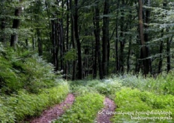 Վարագավան գյուղի կորած բնակիչը 2 օր հետո ինքնուրույն վերադարձել է տուն