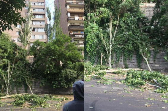 Երևանի Օրբելի փողոցի ծառերը ոչ թե հատվել են, այլ հեռացվել են բնակիչների ահազանգից հետո, քանի որ բները սնամեջ են եղել և վտանգ են ներկայացրել. Հ. Կարապետյան