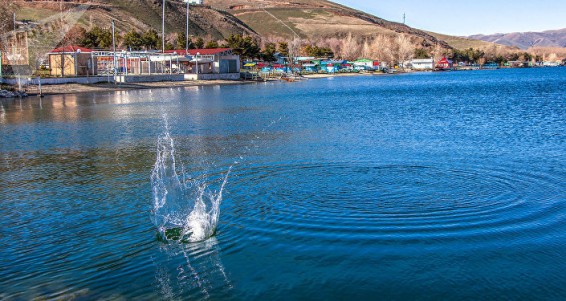 Սեւանա լիճը վտանգված է, բայց ոչ ոք չի շտապում լուծել խնդիրը. էկոլոգ