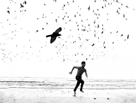 Հայտնի են այս տարվա լավագույն լուսանկարները, որոնք արվել են iPhone-ով