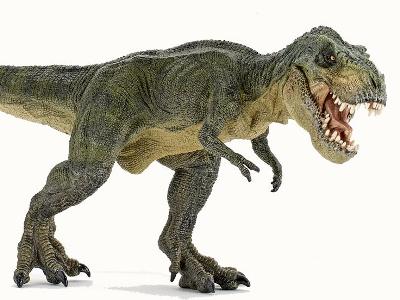 Չինաստանում առաջին անգամ տիրանոզավրի քարացած հետք են հայտնաբերել