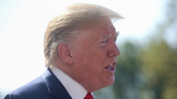 Трамп назвал Зеленского разумным парнем