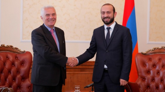 Արարատ Միրզոյանը հրաժեշտի հանդիպում է ունեցել դեսպան Պյոտր Սվիտալսկու հետ
