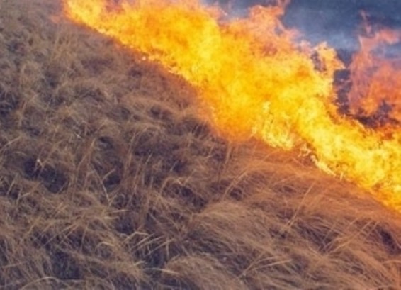 Քալիֆորնիայում ավելի քան 35 հազար տներից բնակիչներին տարհանել են հրդեհի պատճառով