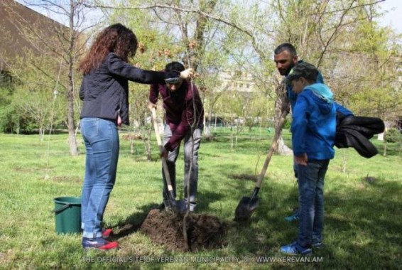 Պետությունը 10 մլն տնկիներով ծառատունկի համար միջոցներ է գտնում տարբեր ուղղություններով