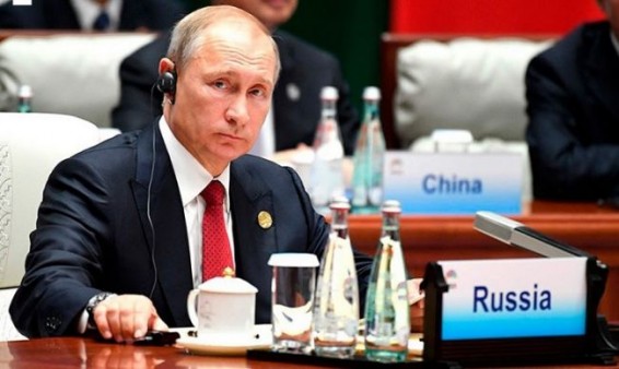 Путин заявил о «полном контакте» с Зеленским