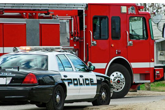 ԱՄՆ-ում շունը սատկել է 8 ամսական երեխային հրդեհից պաշտպանելիս