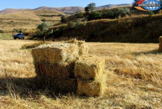 В  Ташире  сгорело около 150 тюков  заготовленных  кормов