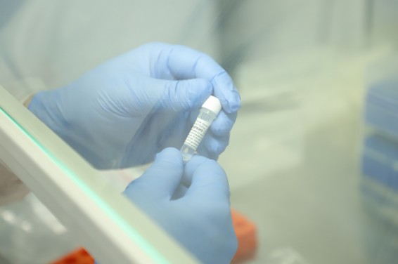 Известны результаты обследования пяти госпитализированных с подозрением на коронавирус пациентов в Армении