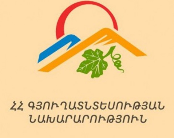 Խաղողի բերքահավաքի և մթերման աշխատանքները կմեկնարկեն սեպտեմբերի 15-ից