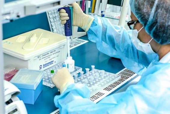 В Армении обследованы 83 человека, коронавирус не обнаружен