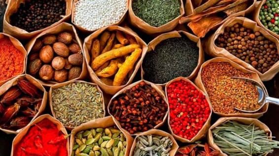 Не хуже чеснока и лимона: диетологи назвали продукты, которые укрепляют иммунитет