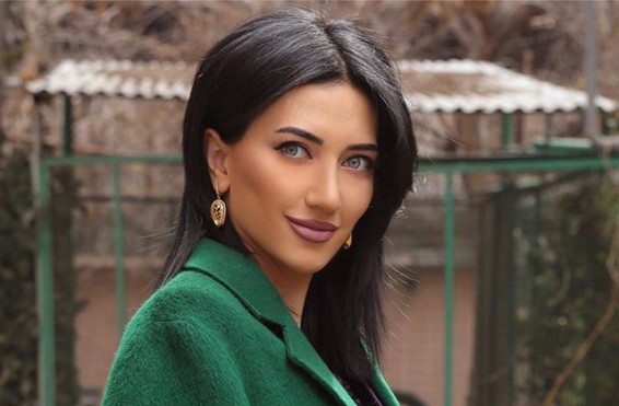 «2-րդ նախագահի նկատմամբ իրականացվողը ի՞նչպես եք գնահատում պարոն նախագահ». Արփինե Հովհաննիսյան
