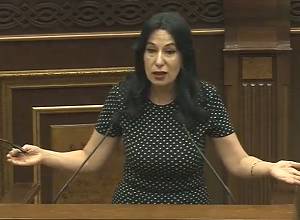 Ձգձգելով գյուղացիական վարկերը՝ բանկերը ձախողում են կառավարության որոշ ծրագրեր. Նաիրա Զոհրաբյան