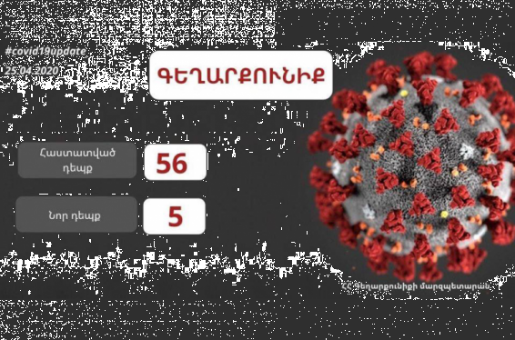 Գեղարքունիքւմ վերջին 2 օրերին հաստատվել է կորոնավիրուսայի 5 նոր դեպք, հաստատված ընդհանուր դեպքերը 56-ն են