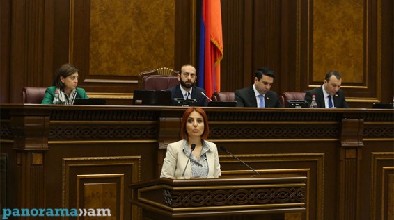 «Նվիրատվությունների մեծ մասը չի հրապարակվելու և կարգավորումն ունենալու է ձևական նշանակություն». Անի Սամսոնյան