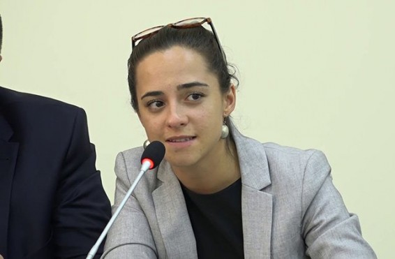 ՄԻՊ-ը գրություններ կուղարկի իրավապահ մարմիններին` կապված Տաթևիկ Ռևազյանի մասին գրառման հետ