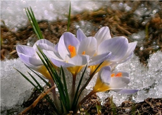 Օդի ջերմաստիճանը  կբարձրանա