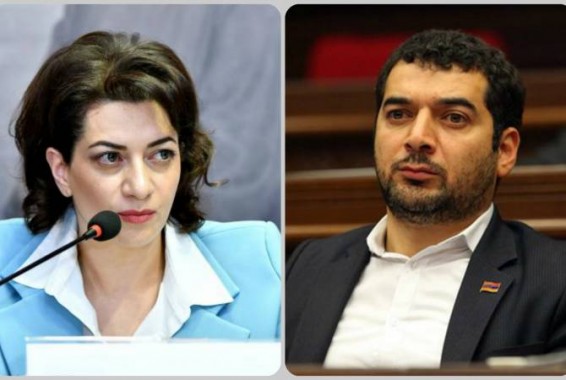 Анна Акопян и Грачья Акопян подали судебный иск против Микаела Минасяна