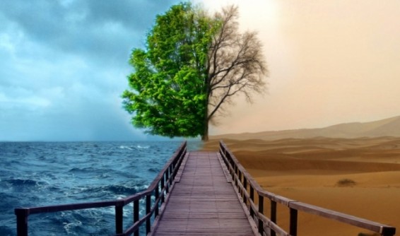 Չինաստանը վավերացրել է Կլիմայի փոփոխության դեմ պայքարի հարցով Փարիզի համաձայնագիրը