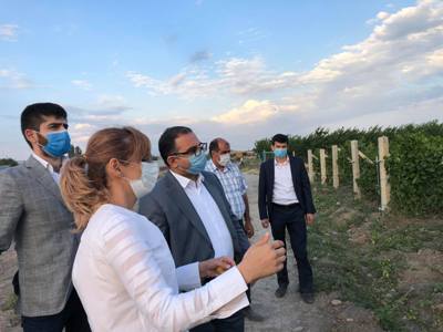 Այս տարի խաղողի առատ բերք է սպասվում․ նախարարը հանդիպել է գինեգործների հետ