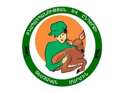 Ճամբարակ-Դիլիջան ճանապարհին անօգնական վիճակում գտնվող եղնիկի ձագ է հայտնաբերվել