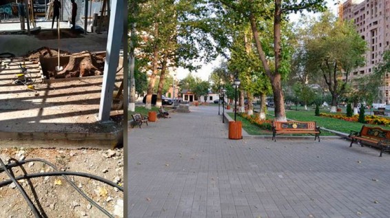Մաշտոցի պուրակում սրճարանի տարածքն ազատում են ծառերից