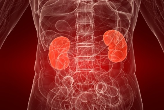 Սուր երիկամային անբավարարվությունը (ՍԵԱ) երկրի ամենամեծ մարտահրավերներից մեկն է համարվում