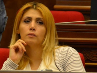 Երկիրը չունի իշխանություն. Էլինար վարդանյան