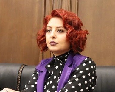 «Լուսավոր Հայաստանի» պատգամավոր Անի Սամսոնյանը դիմել է ԲՏԱ նախարարությանը