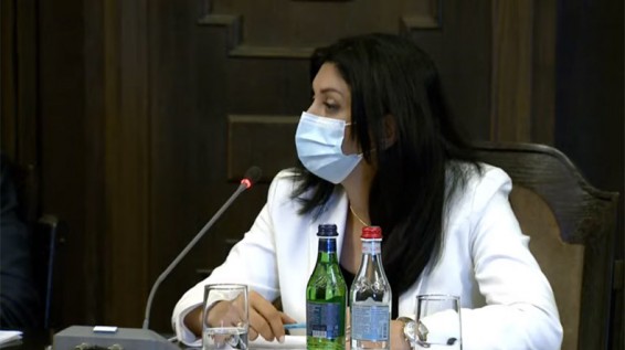 Կորոնավիրուսային հիվանդության աճի տենդենցը մոտակա օրերին կշարունակվի. Նանուշյան