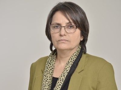 Մեր անկախությունն ամեն տեղ գրավված է. Սահմաններին ռուսական ու ադրբեջանական դրոշներ են. Կարին Տոնոյան