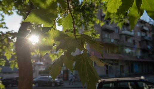 В Армении в ближайшие дни потеплеет – прогноз погоды