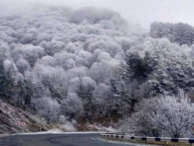 Գորիսում, ու Մեղրիի լեռնանցքում մառախուղ է. տեսանելիությունը՝ 60-70 մետր. Նաեւ թույլ ձյուն է տեղում