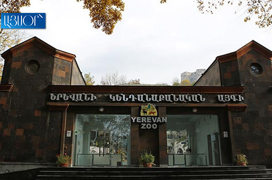 Կենդանաբանական այգում մշտապես գրանցվում են կենդանիների բնականոն անկումներ և ծնունդներ. պարզաբանում