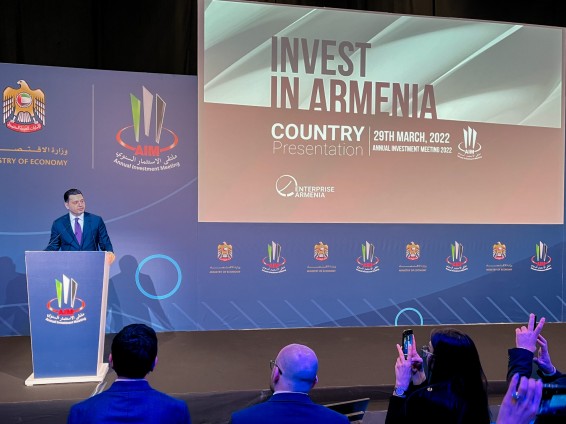 Հայաստանը խելացի ներդրումների համառ ջատագովն է․ փոխվարչապետ
