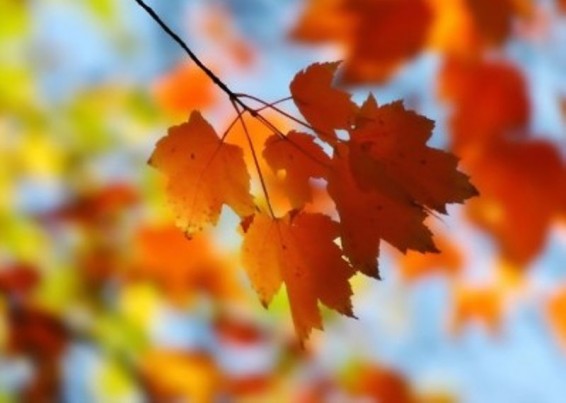 Եղանակը Հայաստանում