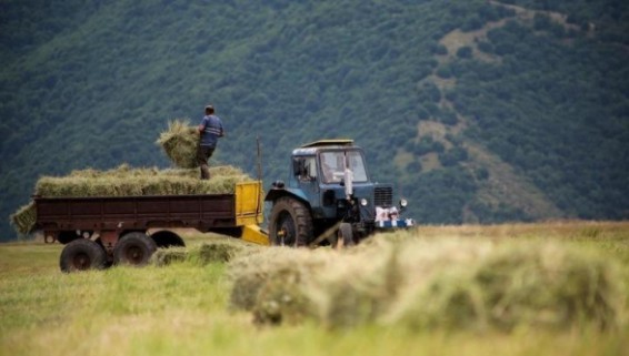 Հայաստանում գյուղատնտեսությունն անկում է ապրում․ գյուղատնտեսական արտադրանքը նվազել է 5.4 տոկոսով․ «Ժողովուրդ»