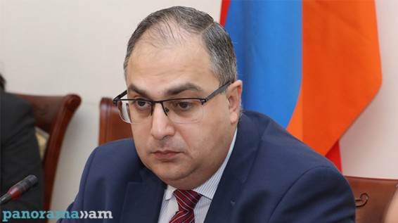 Շատ շեղվելը կարող է առաջացնել հակասություններ մեր և գործընկեր երկրների միջև. Վլադիմիր Վարդանյան