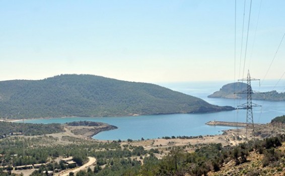 «Ռոսատոմի» ղեկավարը Թուրքիայի էներգետիկայի նախարարի հետ քննարկել է «Ակկույու» ԱԷԿ-ի նախագիծը