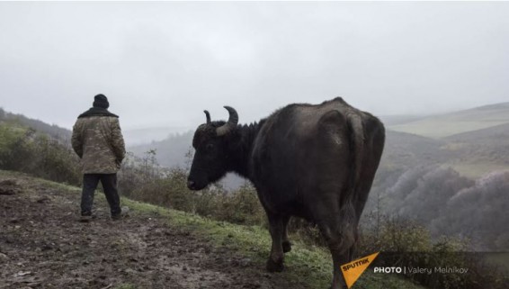 Заблудившийся пастух из Мартуни возвращен азербайджанской стороной с помощью миротворцев