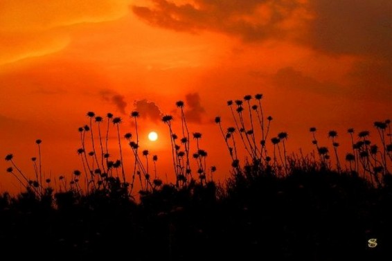 Օրվա խորհուրդ