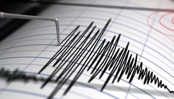 Землетрясение магнитудой 4,8 произошло в Турции