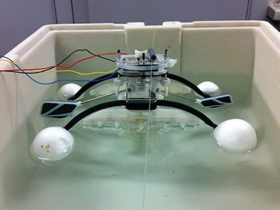 Կենդանի օրգանիզմներ ուտող ռոբոտ են ստեղծել