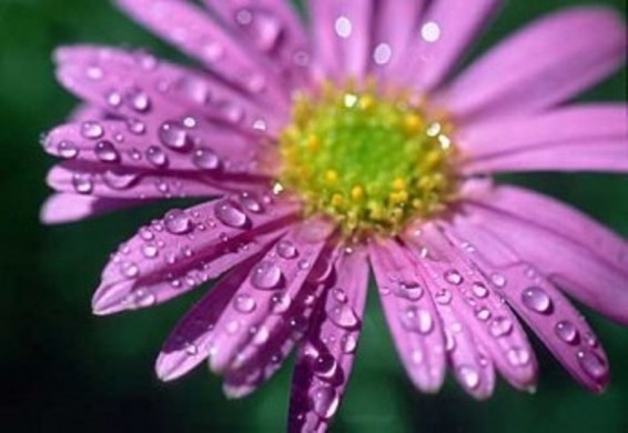 Սպասվում են տեղումներ