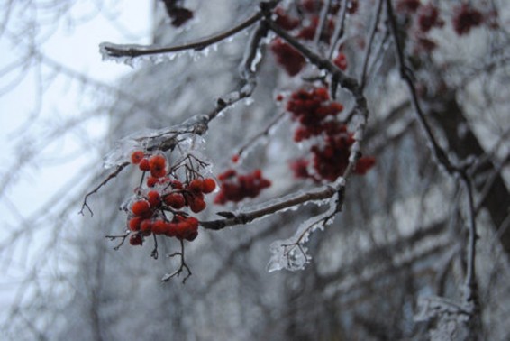 «Սառցե» անձրև Մոսկվայում. 1 օրում 900 վթար է գրանցվել