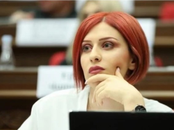 Генпрокурор Армении не смогла пояснить, грозит ли гражданам арест в случае не заполнения декларации