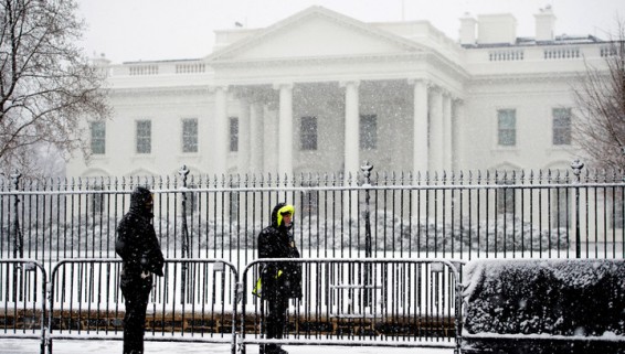 WSJ: зять Трампа может стать старшим советником в Белом доме